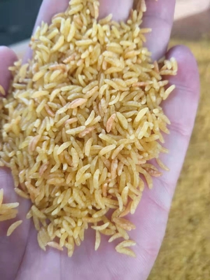 arroz artificial de 201 304 SS que faz a planta fortificada 150kg/H da maquinaria do arroz