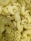 Linha de produção do macarrão do macarronete dos espaguetes que faz a máquina 1500kg